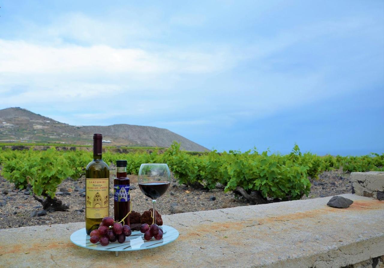 Vineyards Hill Villa Megalochori  Bagian luar foto